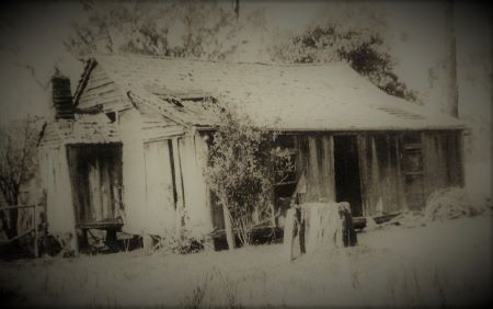 Typical Bark Hut (SLQ Image) The Shepherd's Last Sleep