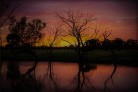 The Bells of Condamine