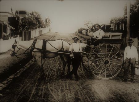 Horse drawn milkcarts on their rounds, Highgate Hill Brisbane (SLQ Image) Praise for little things