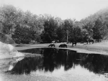 State Library of Queensland Image The Dead Lagoon